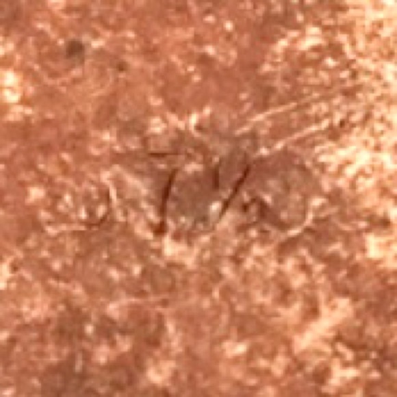 Vintage Dolce and Gabbana soft leather loafers gold letter details. Sz7.5 - Picture 12 of 12